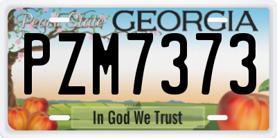 GA license plate PZM7373