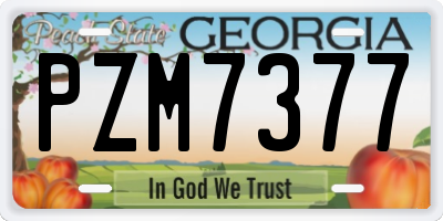 GA license plate PZM7377