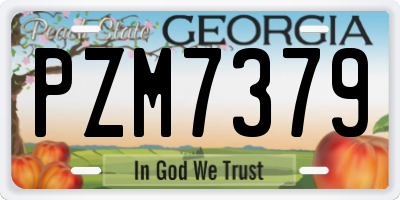 GA license plate PZM7379