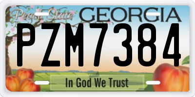 GA license plate PZM7384
