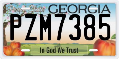GA license plate PZM7385