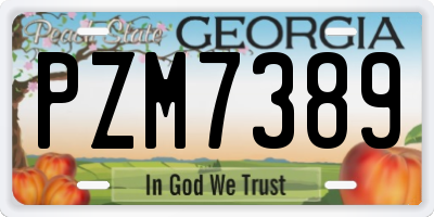 GA license plate PZM7389