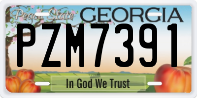 GA license plate PZM7391