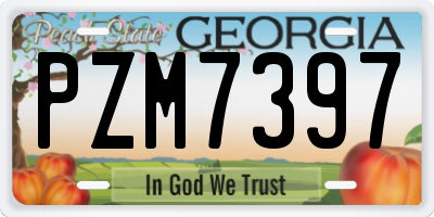 GA license plate PZM7397