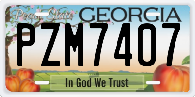 GA license plate PZM7407