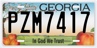 GA license plate PZM7417