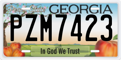 GA license plate PZM7423