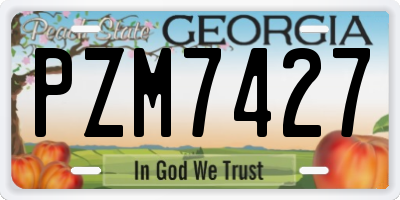GA license plate PZM7427