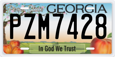 GA license plate PZM7428