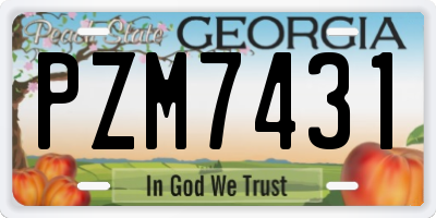 GA license plate PZM7431