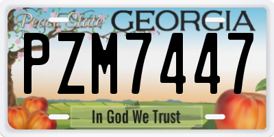 GA license plate PZM7447