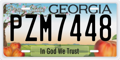 GA license plate PZM7448