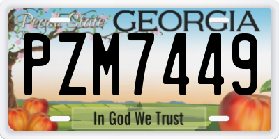 GA license plate PZM7449