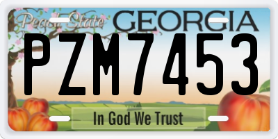 GA license plate PZM7453