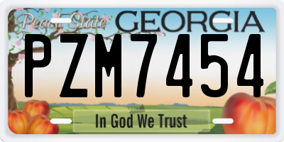GA license plate PZM7454