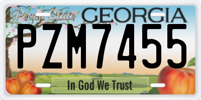 GA license plate PZM7455