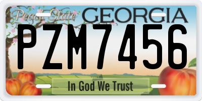 GA license plate PZM7456