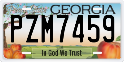 GA license plate PZM7459