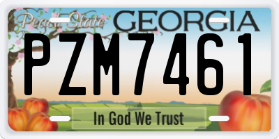 GA license plate PZM7461