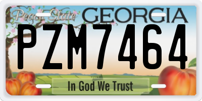 GA license plate PZM7464
