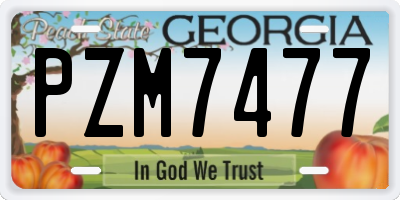 GA license plate PZM7477