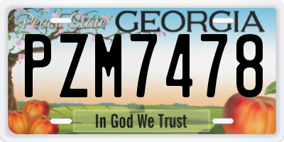 GA license plate PZM7478