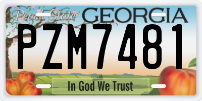 GA license plate PZM7481