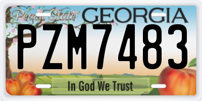 GA license plate PZM7483
