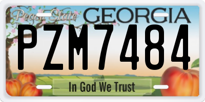 GA license plate PZM7484