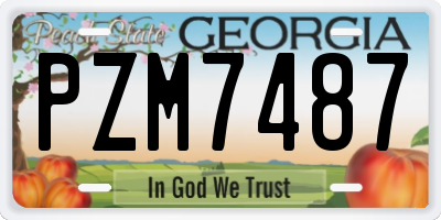 GA license plate PZM7487