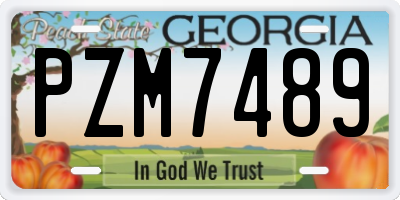 GA license plate PZM7489