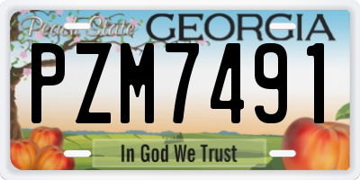 GA license plate PZM7491