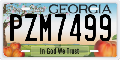 GA license plate PZM7499