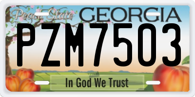 GA license plate PZM7503