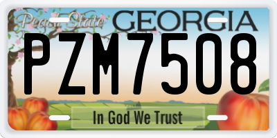 GA license plate PZM7508