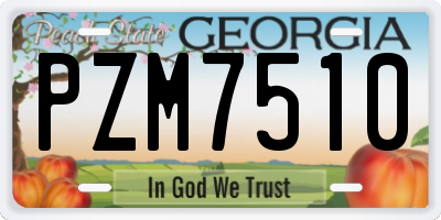 GA license plate PZM7510