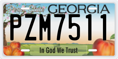 GA license plate PZM7511