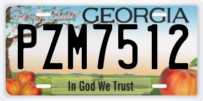 GA license plate PZM7512