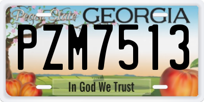 GA license plate PZM7513