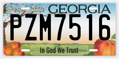 GA license plate PZM7516