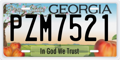 GA license plate PZM7521