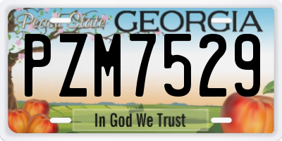 GA license plate PZM7529