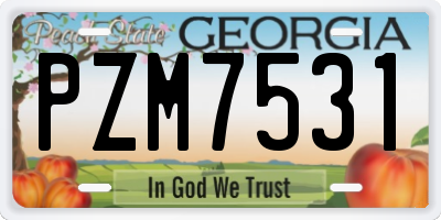 GA license plate PZM7531