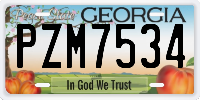 GA license plate PZM7534