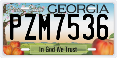 GA license plate PZM7536