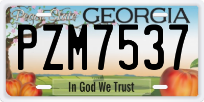 GA license plate PZM7537