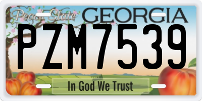 GA license plate PZM7539