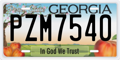GA license plate PZM7540