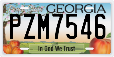 GA license plate PZM7546