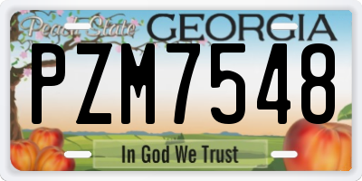 GA license plate PZM7548